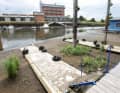 Lack of rain: the harbour in Dömitz is closed due to the low water level.