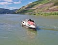 In the Rhine near Rüdesheim, two men overlooked a shoal in their 13 metre long motorboat.