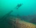 Diver above the discovered wreck.