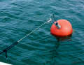 Depending on the area, additional equipment can provide more safety: for example, a buoy hook ...