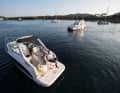 Bayliner Ciera 8