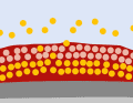 Hard antifouling: The biocides are bound in a resin system. It is mechanically very resilient and is suitable for trailer boats and in tidal areas. Over the course of the season, the active substances wash out and the protection slowly wears off. The empty resin matrix remains on the hull and must be sanded off in winter