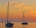 Gotska Sandön: The remote mini-national park north of Gotland with its wide beaches is a paradise for seals and anchormen