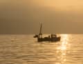 And to be able to recognise exactly when stationary fishermen suddenly pick up speed