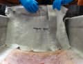 Mixing resin and filler is a bit like baking a cake. if the "dough" is too thin, filler must be added; if it is too thick, more resin must be added