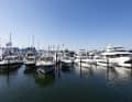 160 boats and yachts could be viewed at the jetties