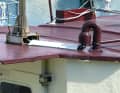Fischer technology: Robust and sure-footed cable laying with gooseneck on a commercial fishing boat.