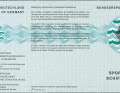 The recreational coaster licence is recommended for coastal waters (within 12 nautical miles).
