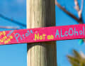 Painted with a brush, like this sign with beach philosophy
