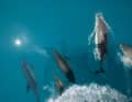 Visit two nautical miles off the coast