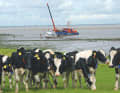 Sinking and salvage of the "Musta Kissa" off the Oste estuary.