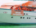 The harbour water was dyed green with a leak detection agent