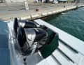 The bathing platform with electro-hydraulic unit can not only be lowered, but also raised.