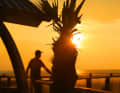 A little bit of the Caribbean on the North Sea beach of Ouddorp in the beach bar Natural High
