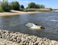 Before being secured, the boat had to be turned with the help of buoyancy bodies.
