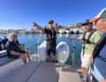 Coach Julian explains the upcoming harbour manoeuvre