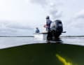 Der neue 9,9 PS EFI Four Stroke an einem speziellen Angelboot