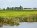 Typisches Bild im vom Wasser durchzogenen Friesland