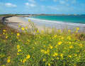 L’Ancress Bay, längster Sandstrand auf Guernsey