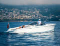Lion: Vita has the 10.60 metre long E-Dayboat built by the US shipyard Hodgdon