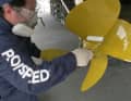Schaumstoffrolle und Pinsel sind die Werkzeuge der Wahl.