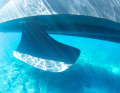 The fin of the stabilisation system.
