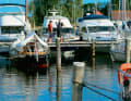 Typical Baltic Sea: "pit lane" with wooden jetties and piles in the Lange Ort marina in Vitte on Hiddensee.