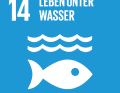 ... die sich für das 14. Nachhaltigkeitsziel der Vereinten Nationen einsetzen
