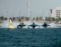 Three Racebirds in one picture, if that doesn't look fast...