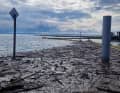 Oil booms are used to keep the wood away from the harbour facilities and boats