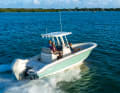 Boston Whaler 250 Dauntles