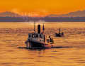 The small tugboat "Dodo" in front of the steam launch "Uno"