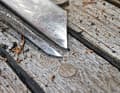 Now the rubber and wood have to be removed. In contrast to the chisel, the bottom edge of the self-made tool is not pointed, but slightly rounded, so it does not drill into the wood, ...