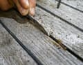 The width of the hook should correspond approximately to the joint width. If you don't want to build the tool yourself, you can also use the TDS grouting hook, but this is actually intended for the joint sealant