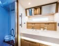 The owner's bathroom
