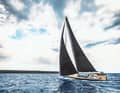Isn't something missing? No, the Café Racer does not need a backstay. This allows the owner to sail a mainsail with a flared headboard. The foredeck and working cockpit are connected by a stepless side gangway