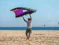 Hold the wing by the front handle above your head in the neutral position