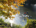 Sonnige Herbsttage bieten sich für die SUP-Tour auf der Ruhr besonders an. Auf dem Fluss ist dann praktisch kein Verkehr mehr, die umsäumenden Hügel leuchten in den prächtigsten Farben, wie hier an der Einstiegsstelle am Hengsteysee.