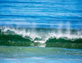 This moderate wave could originate from a sandy bottom. It breaks on a whole line parallel to the beach (close-out). Beginners can use it well for surfing.