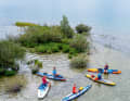 Small bays that want to be discovered - the Forggensee has surprises around every corner.