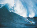 Jason Polakow in Jaws, Maui, Hawaii