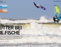Test Waveboards: Acht brandneue Shapes gehen in den Härtetest an Nord- und Ostsee. Mit dabei: einige junge Marken, die den etablierten Herstellern Feuer unterm Hintern machen wollen – was nicht immer gelingt