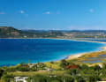 The Giens peninsula near Hyères in the south of France is still an evergreen.