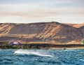 "Life begins at 40 knots" - this saying doesn't come from Pozo, but from the Gorge. So it comes as no surprise that back and double loops are just as common at spots like Arlington as they are on Gran Canaria.