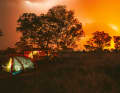Because tents are close to animal visitors, locals also prefer these fat campervans