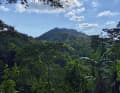 Die sanfte Bergwelt der Sierra Nevada bietet mit sattgrünen Farben ein beruhigendes Kontrastprogramm zum wilden Großstadtleben in Barranquilla.