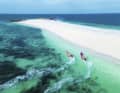 Who would have thought it?  The Glénan Islands are off the coast of Brittany and not twelve hours away by plane.