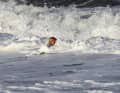 Close your mouth! PFAS is most dangerous when swallowed via sea foam