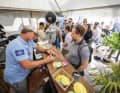 You will find legend Björn Dunkerbeck again at the surf magazine tent...