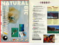 Die Highlights in surf 01-02/1993